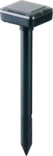 Grundig pentru Furnicile