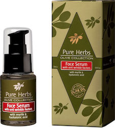 Pure Herbs Olive Collection 15ml Pure Herbs Olive Collection 15ml