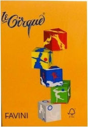 Favini Le Cirque Hârtie de Imprimare A4 160gr/m...