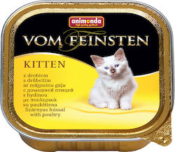 Animonda Kitten Wet Food for Kittens In Tray with Beef / Poultry 1pc 100gr