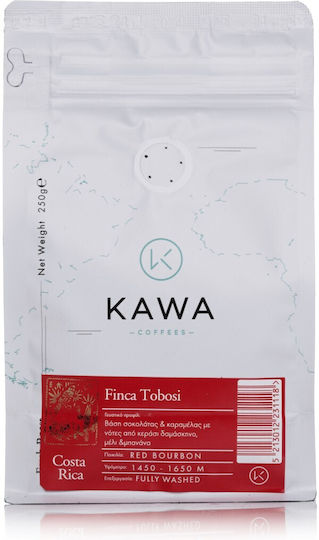 Kawacom Καφές Espresso Μονοποικιλιακός Arabica Costa Rica Finca Tobosi σε Κόκκους 250gr
