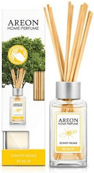 Areon 
