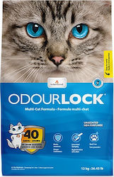 Intersand Odourlock Katzenstreu 12kg