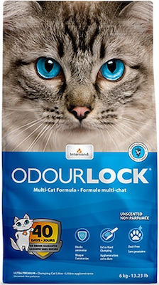 Intersand Odourlock Clumping Odour Control Cat Litter 6kg