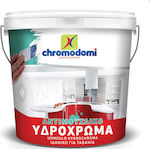 Χρωμοδομή Unmould Plastic Antimucegai Hidrocolor pentru Utilizare Intern 3lt