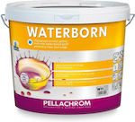 Pellachrom Waterborn Plastic Hidrocolor pentru Utilizare Intern 9lt