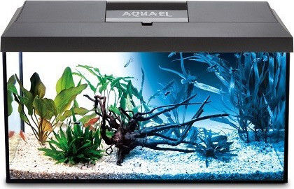 Aquael Leddy Day & Night 60 Fish Aquarium Capacity 54lt with Lighting, Heater, Filter and 60x30x30cm Black
