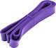 MDS Super Loop Resistance Band Moderate Purple 33mm