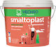 Vechro Smaltoplast Τσιμεντόχρωμα Ακρυλικό Γκρι 10lt