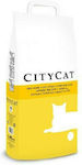 City Cat Classic Cat Litter 10kg