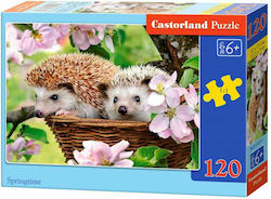 Puzzle pentru Copii Springtime pentru 6++ Ani 120buc Castorland