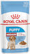 Royal Canin Medium Wet Food for Puppies in Pouches with Meat 140gr