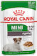 Royal Canin Nassfutter mit Fleisch 1 x 85g 1707010