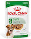Royal Canin Wet Food for Senior Dogs in Pouches with Meat 85gr