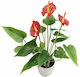 Artificial Plant in Pot Tailflower (Anthurium) Red 43cm Marhome