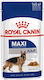 Royal Canin Maxi Wet Food Dog 1712002