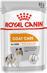 Royal Canin Coat Care Hrana umedă pentru câini pentru câini în pliculețe 6 x 85g