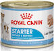 Royal Canin Starter Mousse Υγρή Τροφή για Κουτάβι με Κρέας σε Κονσέρβα 195γρ.