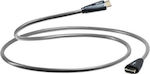 QED Performance HDMI 1.3 Kabel HDMI-Stecker - HDMI-Stecker 5m Schwarz