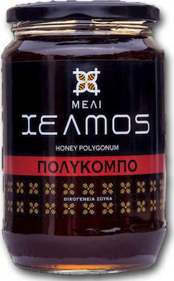 Χελμός Μέλι Πολύκομπου 480gr