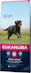 Eukanuba Active Adult Large Breed 12kg Ξηρά Τροφή για Ενήλικους Σκύλους Μεγαλόσωμων Φυλών με Κοτόπουλο