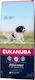 Eukanuba Active Adult Medium Breed 12kg Dry Food for Adult Medium Breed Dogs with Chicken
