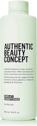 Authentic Beauty Concept Amplify 250ml Authentic Beauty Concept Amplify 250ml