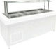Niki Inox Vitrină De Conservare Etaj 212x71x40cm