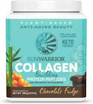 Sunwarrior Collagen Building Protein Peptides 500gr Chocolate Fudge