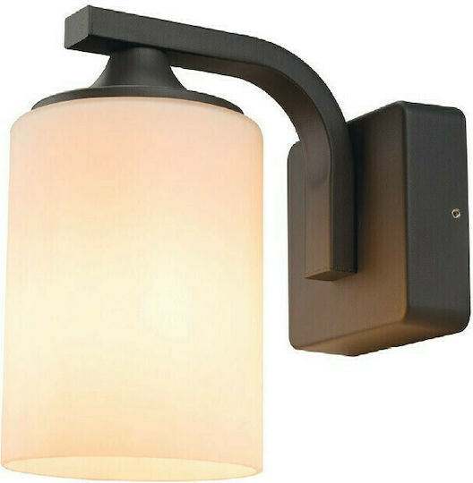 Aca Dareia Φωτιστικό με Καπέλο 21x21.2x11.8εκ. Aca Dareia Φωτιστικό με Καπέλο 21x21.2x11.8εκ.