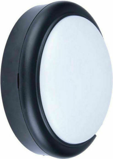 Telco BL111-8W-C Broască Testoasă Led 8W 6500K 14x5.8cm Telco BL111-8W-C Broască Testoasă Led 8W 6500K 14x5.8cm