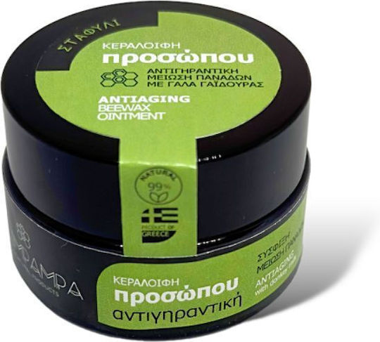 MeliMpampa Creme Gesicht 20ml