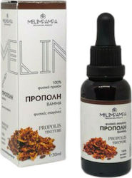 MeliMpampa Tincture Propolis 30ml