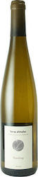 Domaine Mittnacht Freres Weiß Trocken 750ml Domaine Mittnacht Freres Weiß Trocken 750ml