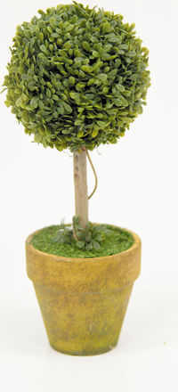 Künstliche Pflanze im Töpfchen Buxus (Gewöhnlicher Buchsbaum) 21cm Faitakis Pack