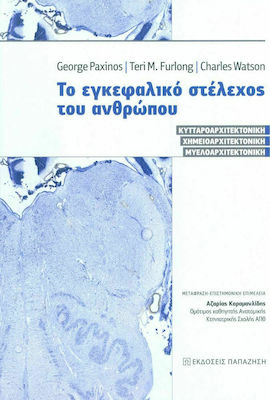 Το εγκεφαλικό στέλεχος του ανθρώπου, Κυτταροαρχιτεκτονική, χημειοαρχιτεκτονική, μυελοαρχιτεκτονική