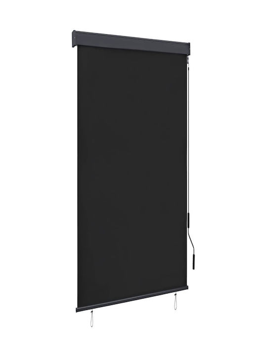 vidaXL Seitenrolloschatten Terrasse Charcoal 8x...