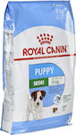 Royal Canin Mini Puppy 8kg Trockenfutter für Welpen kleiner Rassen mit Mais, Geflügel und Reis
