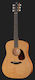 Furch Akustisch Gitarre Blue D-CM Rot