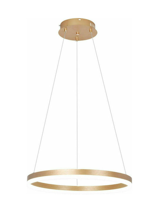 Sun Light Pendant Light LED Suspension with Warm to Cool White Light Gold