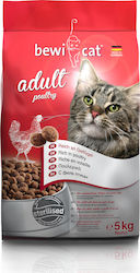 Bewi Adult 5кг