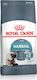 Royal Canin Hairball Care Dry Food for Adult Cats with Poultry 4kg