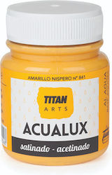 Titan Acualux Satin Vopsea acrilică Portocaliu ...