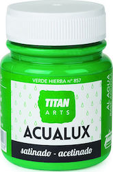 Titan Acualux Satin Vopsea acrilică Verde pentr...