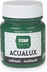 Titan Acualux Satin Vopsea acrilică Verde pentr...