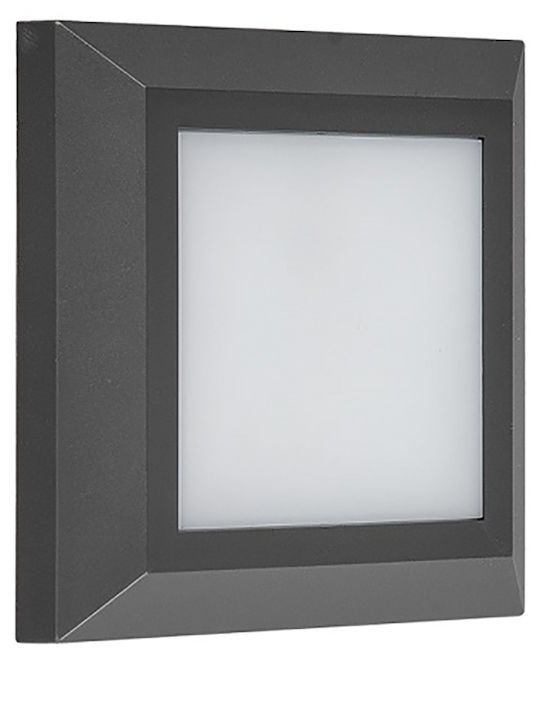 Adeleq Waterproof Wall-Mounted Outdoor Ceiling Light IP65 with Integrated LED Black