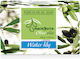 Macrovita Pure Olive Oil Soap 100gr