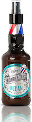 Beardburys Ocean Sea Salt Spray 250ml Beardburys Ocean Sea Salt Spray 250ml