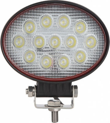 LED 10-30V 39W