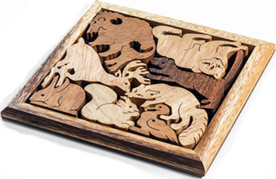 Wooden Logic Puzzle In Box The Zoo